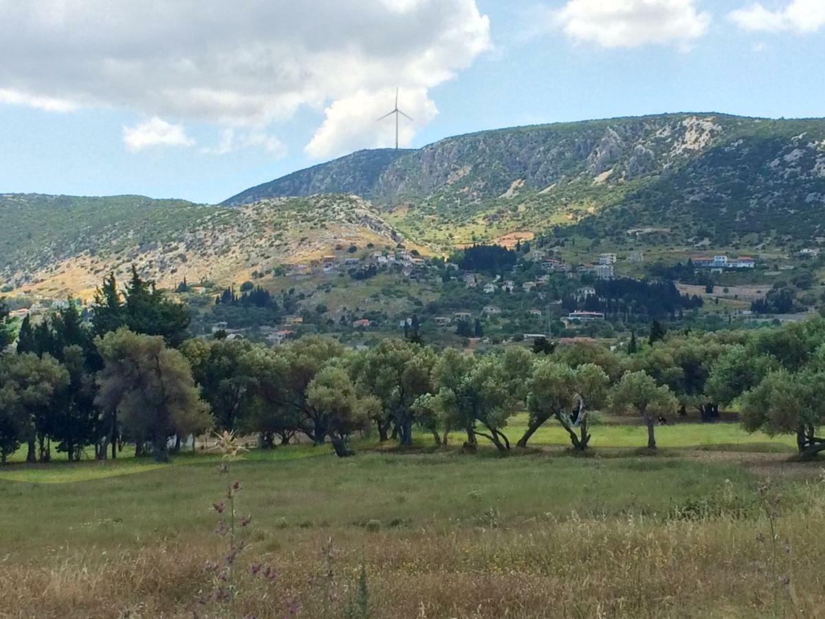 Zeytinli Konak Bed & Breakfast İzmir Eksteriør bilde